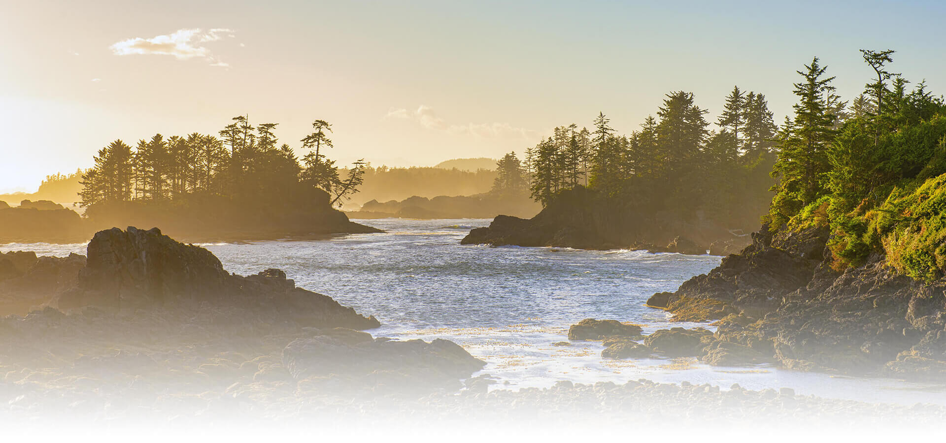 Seaflora Organic Skincare Canada