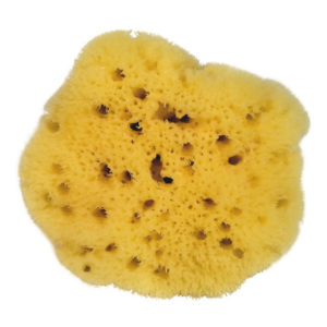 menstration sponge