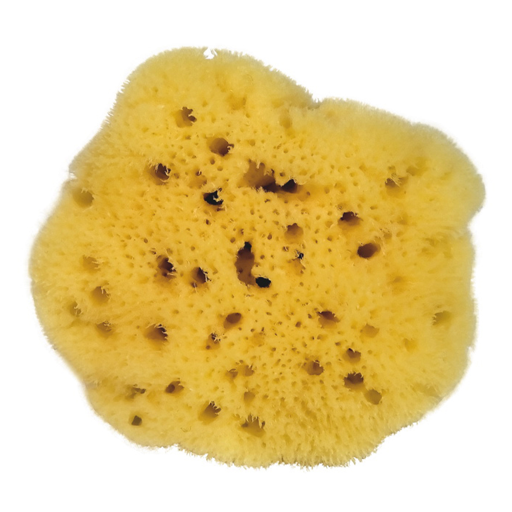 menstration sponge