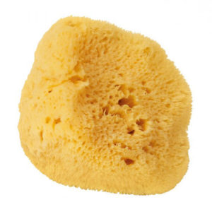 Natural Silk Sponge